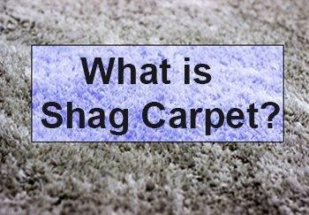 What is Shag Carpet?