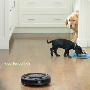 Roomba e5 Cleaning Performance
